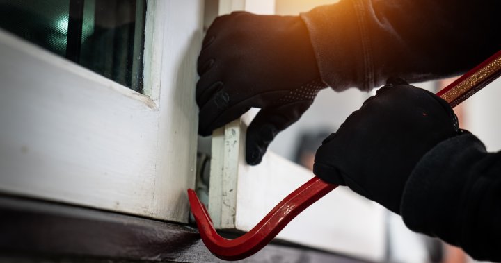 Are home invasions rising in Canada? How to protect yourself – National