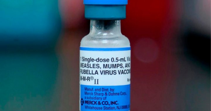 Measles vaccine makers report shortages in Canada as cases rise – National