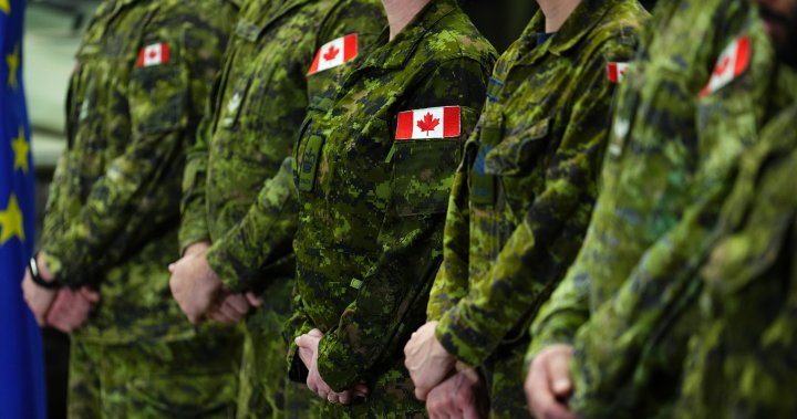 Canada’s military is running counter-intelligence probes without warrants: review – National