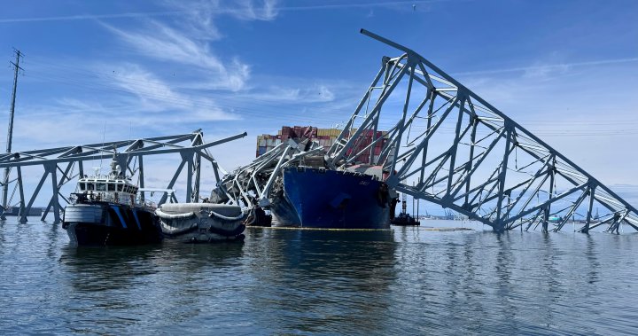 Baltimore bridge collapse: Alternate channel now open for cleanup vessels – National