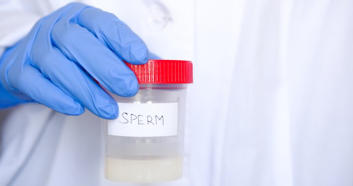 Canada updating sperm donor screening criteria for men who have sex with men – National