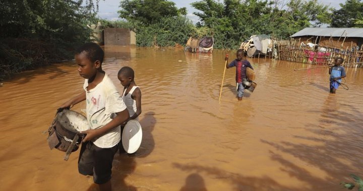 What’s behind Kenya’s intense flooding as death toll climbs – National