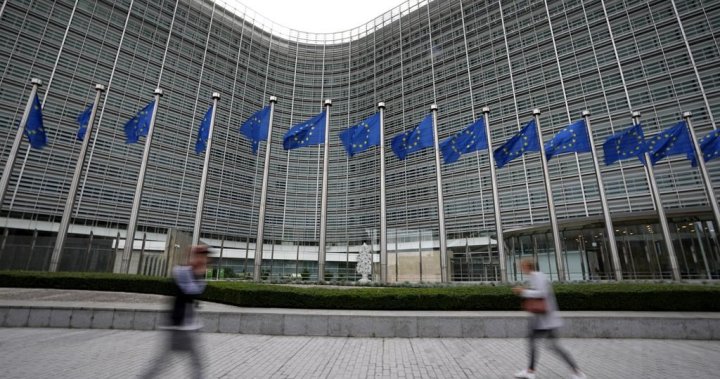 EU to use windfall profits from Russian assets for Ukraine. Will allies follow? – National