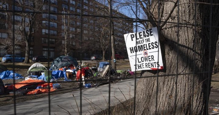 Reducing homelessness will cost Ottawa billions more to hit targets: PBO – National