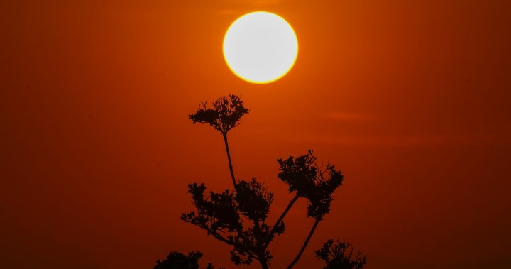 UN head warns of ‘climate hell’ as May sets temperature record – National