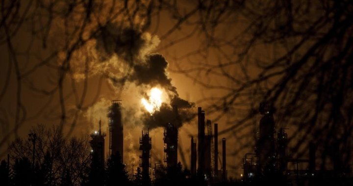 Climate disaster survivors call for emissions cap as MPs grill energy CEOs