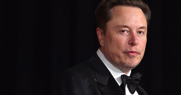 How much should Elon Musk get paid? Tesla shareholders to decide – National