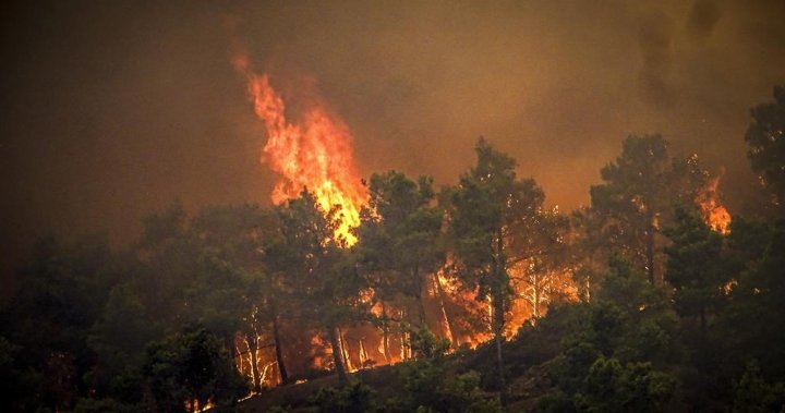 Evacuation ordered for residents of Quebec’s Port-Cartier as forest fires approach