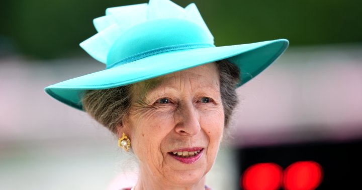 Princess Anne treated for minor head injuries, Buckingham Palace says – National