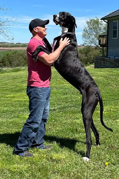 Kevin, formerly the world’s tallest living dog, loved naps on the couch and meeting new friends.