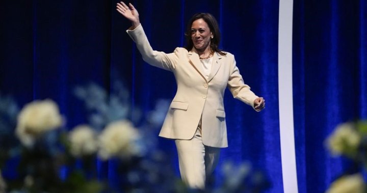 Democrats plan to virtually nominate Kamala Harris before convention. Here’s why – National