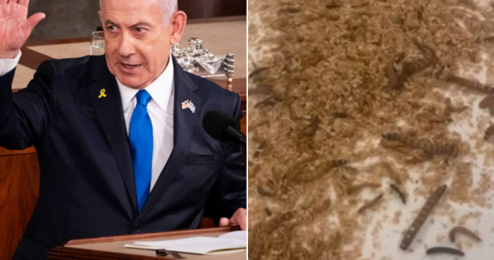 Protesters scatter maggots, crickets at Watergate Hotel amid Netanyahu visit – National