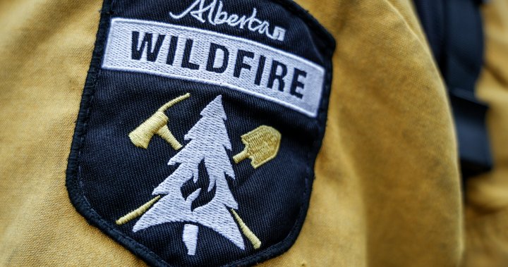 Jasper wildfire: How to navigate filing insurance claims