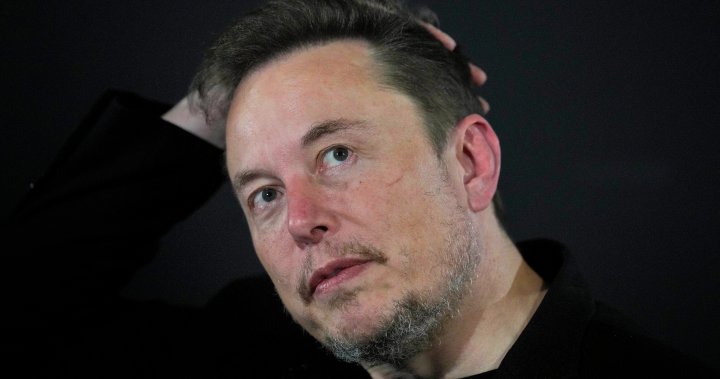 Brazilian judge suspends Elon Musk’s X platform nationwide – National