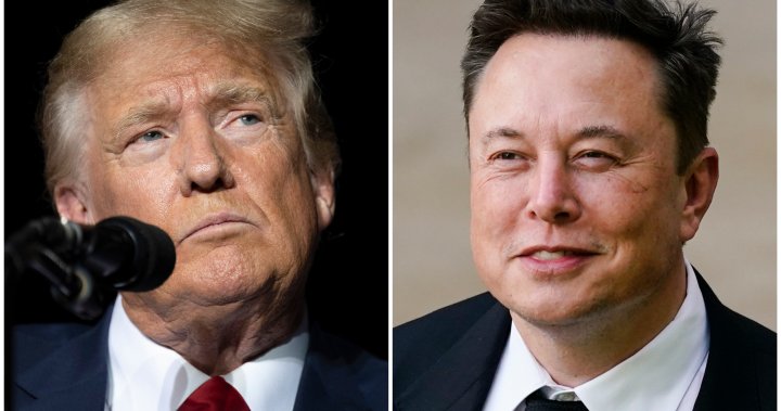 Trump taps Musk to lead new ‘government efficiency’ panel if elected – National