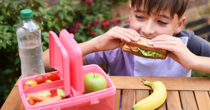 Back-to-school lunches: Dietitian tips for avoiding ultra-processed foods – National