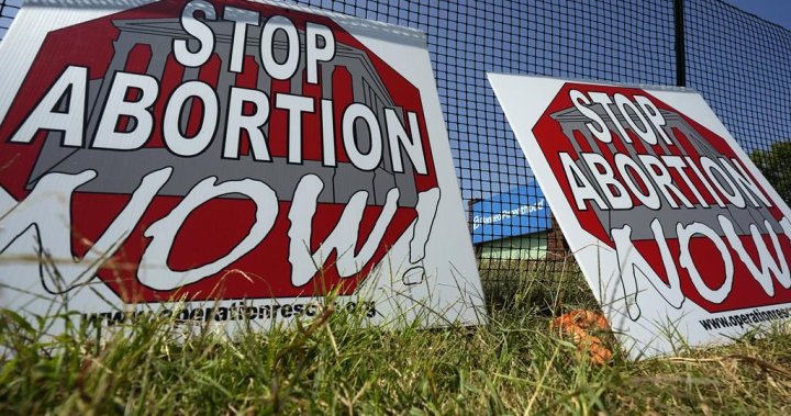 Euphoric 2 years ago, US anti-abortion movement now divided, worried as election nears – National