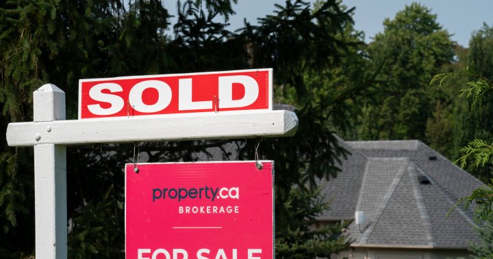 Lower home prices and mortgage rates improved August affordability: report