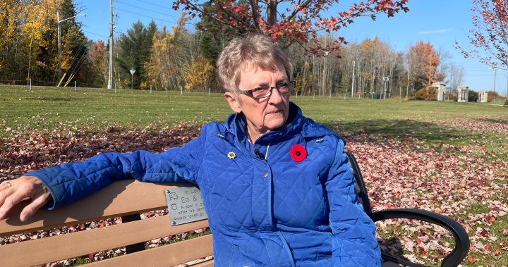 ‘Destined’ to serve: Silver Cross Mother remembers the sons she lost to PTSD