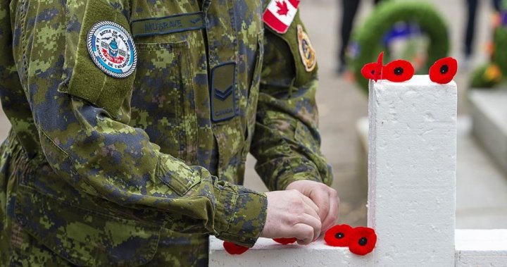 Canada should be ‘world leader’ on alternative PTSD therapies, veteran says – National