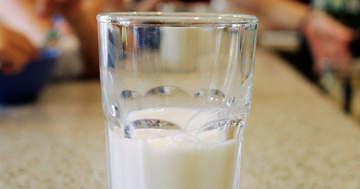 Bird flu virus detected in raw milk from California dairy prompts recall – National