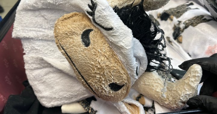 Man arrested after drug-caked clothing, including cow onesie, seized at LAX – National