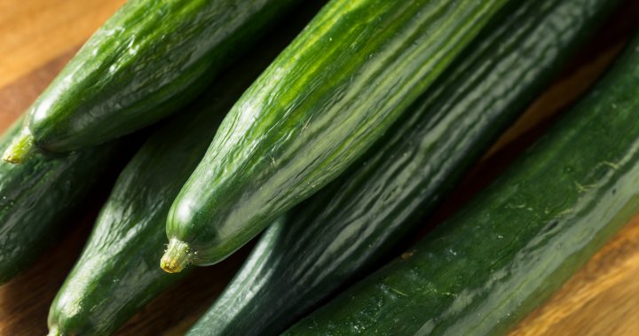 Cucumbers sent to several provinces recalled over salmonella concerns