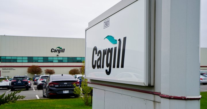 Food giant Cargill is slashing 5% of global workforce—around 8K jobs – National