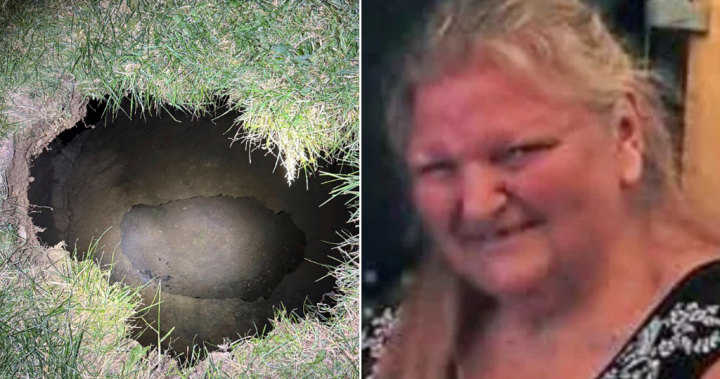 Grandma may have been swallowed by sinkhole while looking for cat in Pennsylvania – National