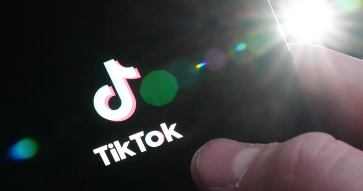 TikTok’s future in U.S. uncertain after court upholds law that could ban it – National