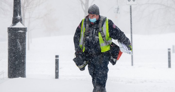 ‘A death trap’: Striking Canada Post workers explain the job’s toll on them – National