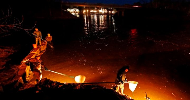 Officer receives suspension after two Mi’kmaq elver fishers left without boots