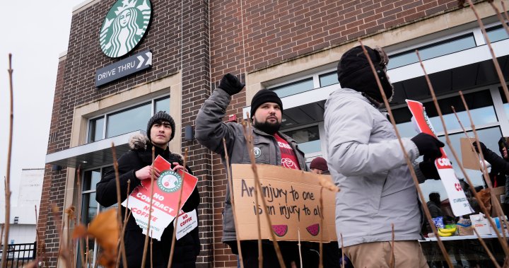 Starbucks workers on strike in the U.S. that could widen by Christmas Eve – National