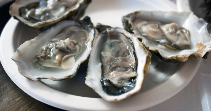 Oysters recalled in 3 Canadian provinces over norovirus concerns 