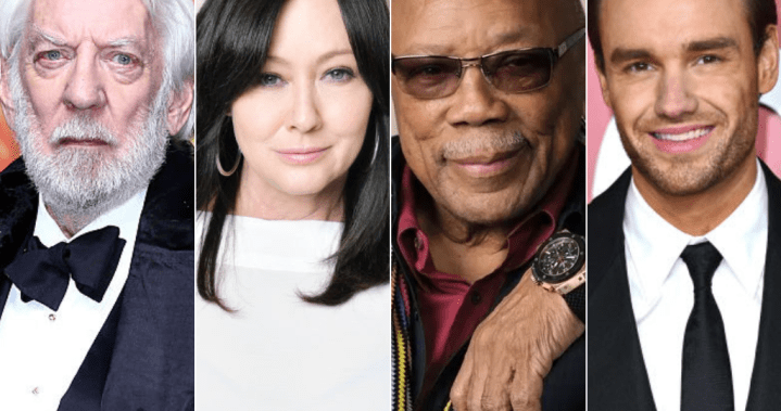 Remembering the celebrities we lost in 2024 – National