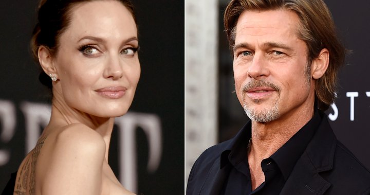 Pitt-Jolie divorce settled, but other legal issues remain for Brangelina – National