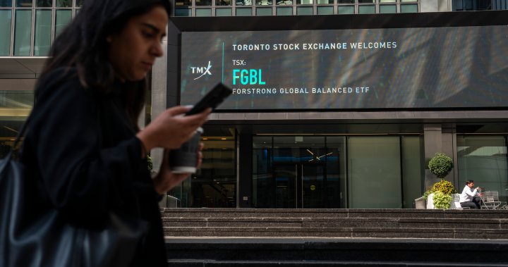 Canadian stock market set to grow in 2025 amid lingering volatility: experts – National