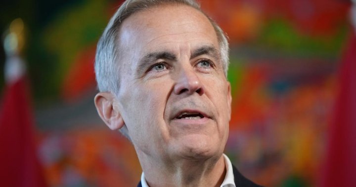 Mark Carney makes his leadership pitch to a skeptical Liberal caucus – National