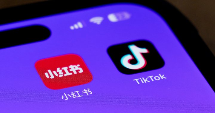 Xiaohongshu, or RedNote, tops App Store charts as U.S. TikTok ban looms – National