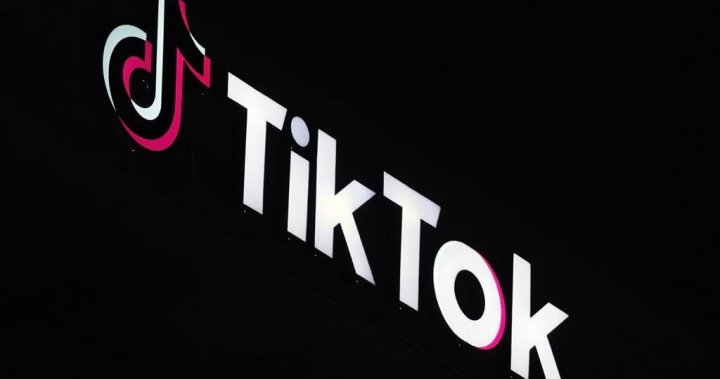 TikTok ban upheld by U.S. Supreme Court. Here’s what could happen next – National