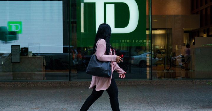 TD Bank speeds up CEO replacement, slashes 41 executive salaries – National