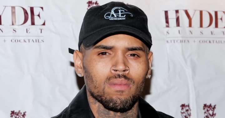 Chris Brown sues Warner Bros. for $500M over sexual assault allegations – National