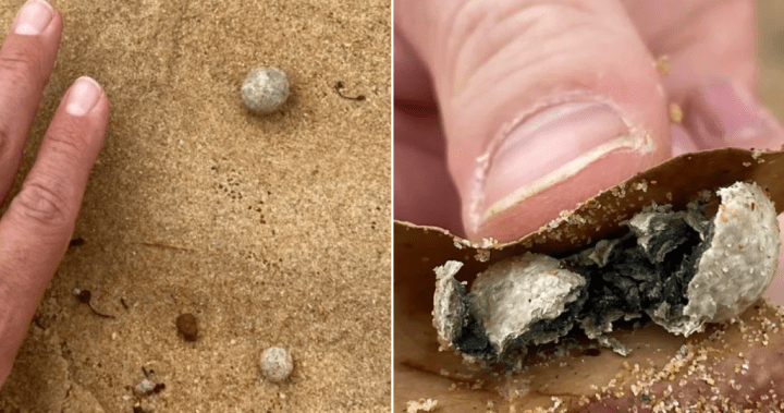 Mystery balls of debris prompt closure of 9 beaches in Sydney, Australia – National